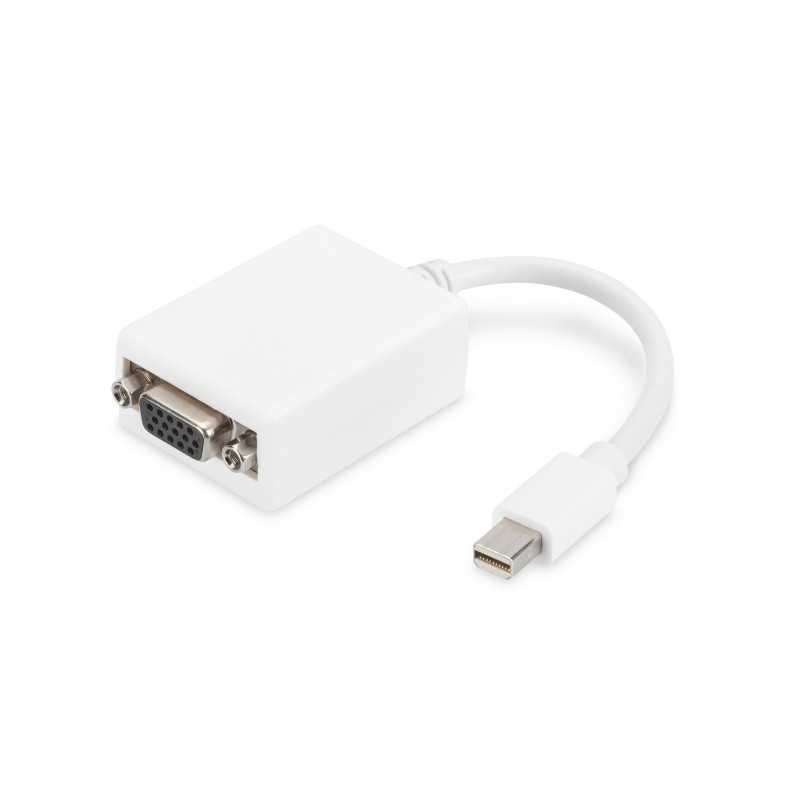 Kabel adapter Displayport 1.1a Typ miniDP/DSUB15 M/Ż biały 0,15m AK-340407-001-W Assmann
