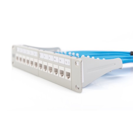 Panel krosowy modularny 10" 12x keystone, ekranowany, 1U, szary, prowadnica kabli  DN-91419