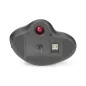 Mysz bezprzewodowa typu trackball, ergonomiczna, bluetooth lub USB C, czarna DA-20156