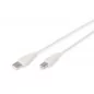 Kabel połączeniowy USB 2.0 HighSpeed Typ USB A/USB B M/M szary 5m AK-300105-050-E Assmann